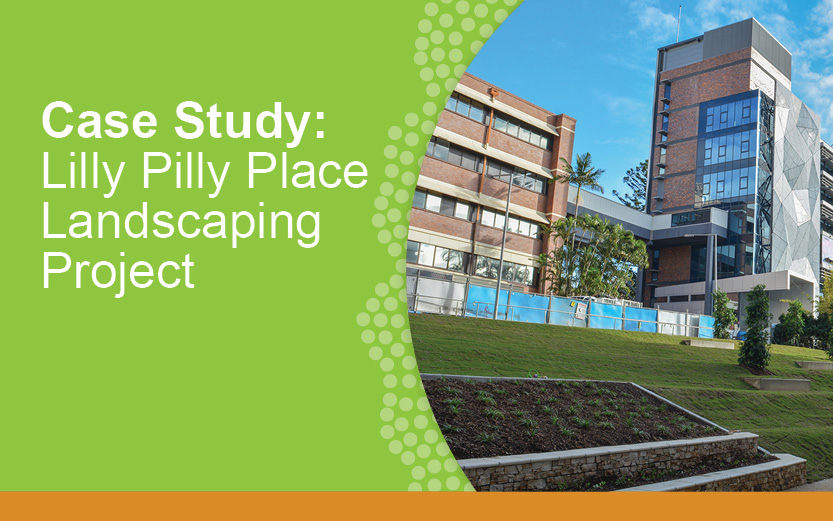 Case Study: Lilly Pilly Place Landscaping Project