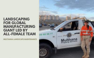 Landscaping for global giant led by all-female team