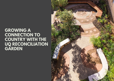 Growing a connection to country with the UQ Reconciliation Garden